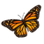 Hannah Mereana Butterfly